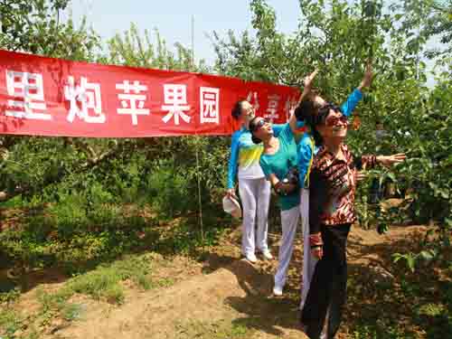 延庆县:体验里炮苹果园 分享快乐一箩筐