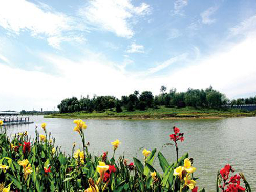 大兴新区打出清洁空气组合拳