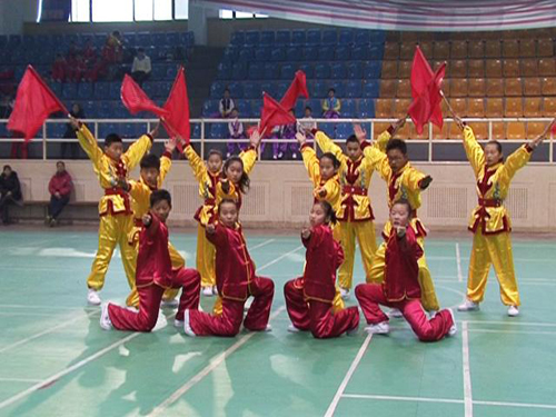 延庆县中小学生武术比赛圆满结束