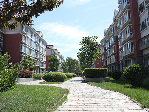 创建美丽小区建设和谐家园--昌平区回龙观地区