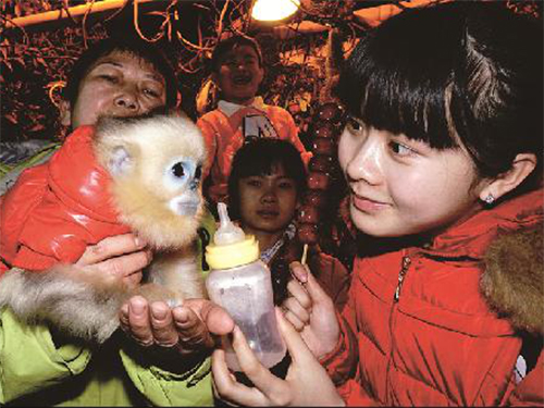 大兴:北京野生动物园 猴年春节忙不停