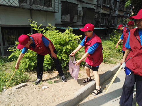 丰台区老党员先锋队社区公益服务活动启动