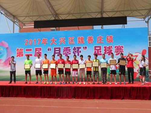 大兴区魏善庄镇第二届月季杯足球赛圆满落幕