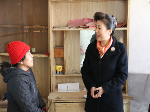 平谷区妇联慰问马坊镇困难妇女户(图)