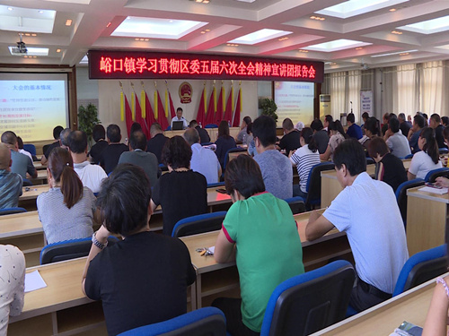 平谷区峪口镇深入学习贯彻区委五届六次全会精