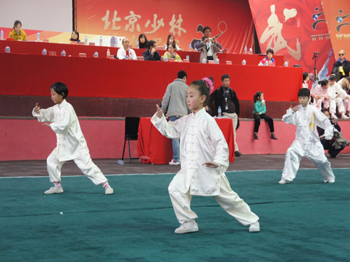 平谷精华武术学校在2010年全球功夫网杯北
