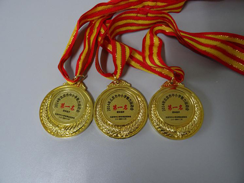 大兴九小参加北京市中小学智力运动会喜获嘉奖