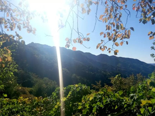 大兴区兴华中学高中部举办爱我长城摄影比赛