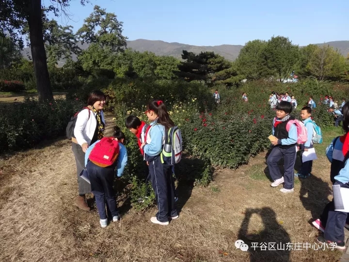平谷区山东庄中心小学参加路边的自然公益活动