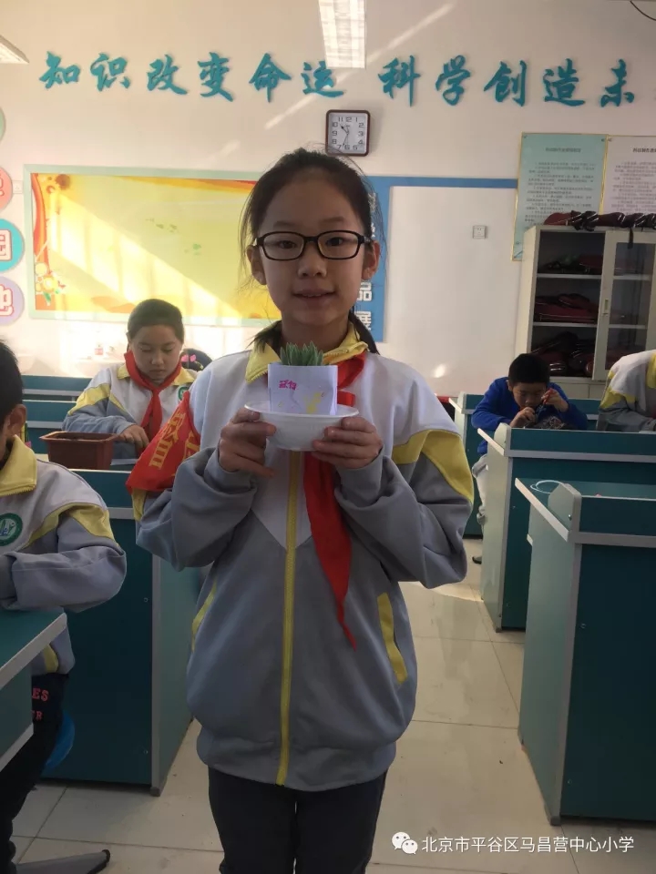 平谷区马昌营中心小学参加路边的自然公益项