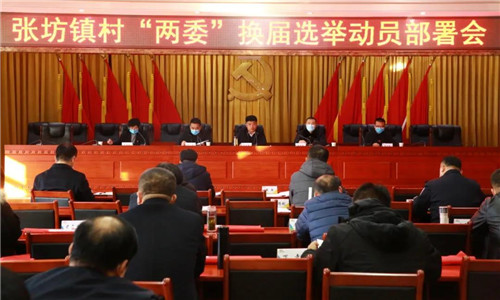区委第一巡回指导组,党政班子成员,机关包村科长,各村党支部书记50余