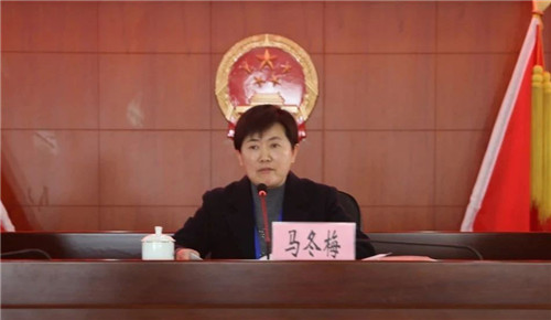 平谷区马坊镇召开第四届人民代表大会第九次会议