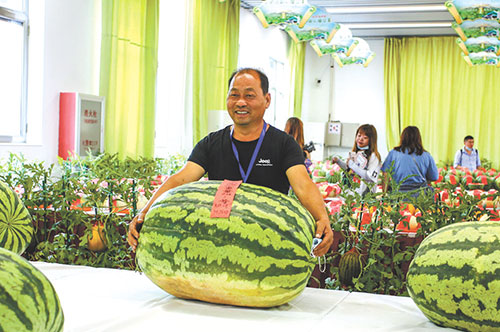 第三十三届北京大兴西瓜节"四季阳坤杯"——全国西甜瓜擂台赛 看冠军"