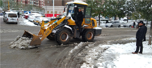 平谷区夏各庄村党员群众齐上阵 铲雪清路保安全