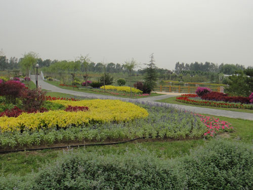 海淀东升乡地区花团锦簇喜迎国庆(图)