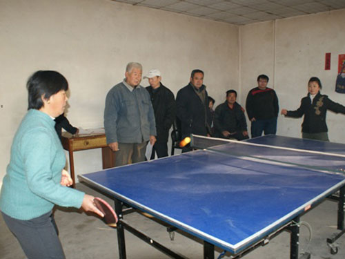 大兴区礼贤镇贺南村举办乒乓球赛聚人心(图)