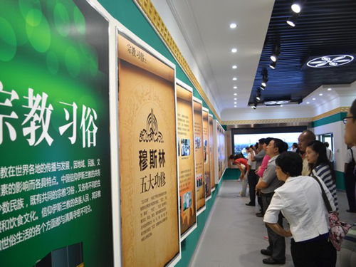 房山区窦店中心校开展教师节里看新城活动(