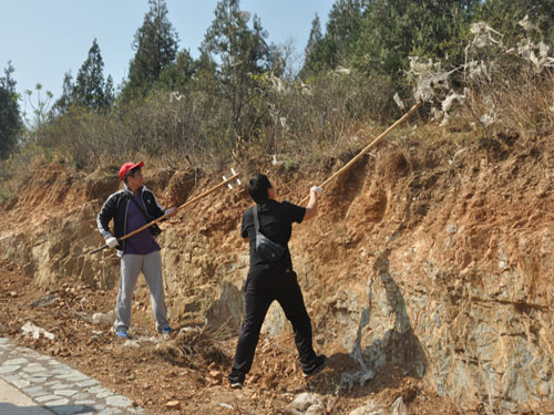 房山区城关街道开展春季登山环境清洁志愿服务