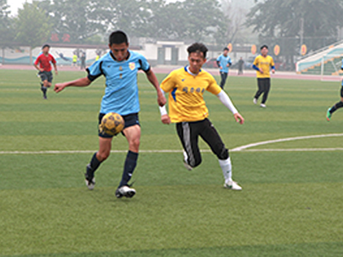 大兴区西红门镇西甲足球赛完美落幕(图)