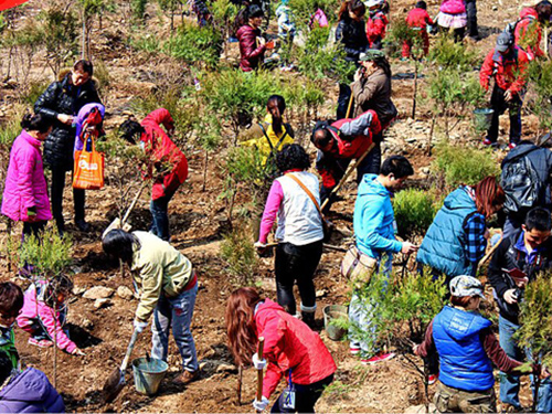 怀柔区响水湖景区开启第五届养生植树节(图)