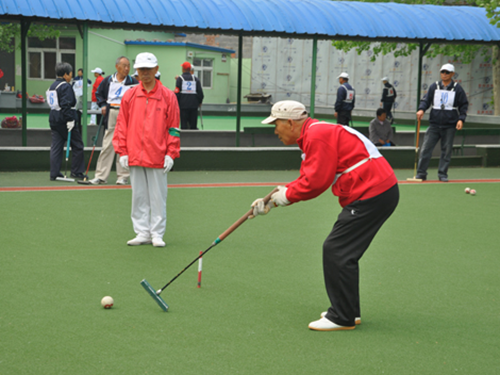 房山区城关街道举办第二届职工杯门球赛(图