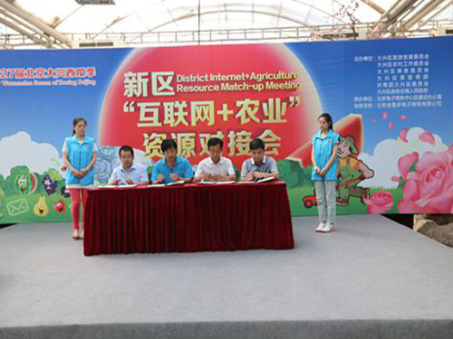 新区志愿者助力北京大兴西瓜节系列活动(图)