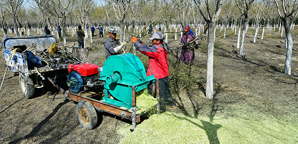 西集通州实现v垃圾垃圾变废为宝执业医视频图片