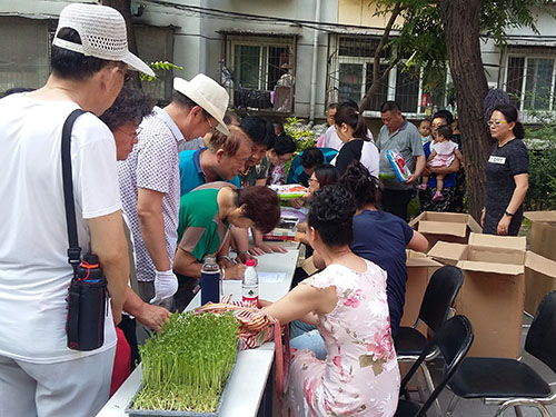 丰台区马家堡街道嘉园二里社区健康生活绿色环
