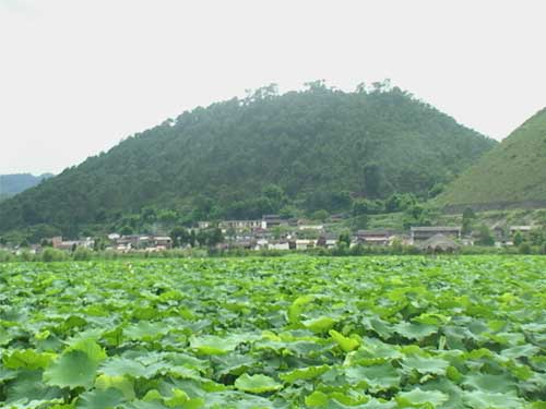 施甸各镇人口多少_保山施甸县城图片(2)