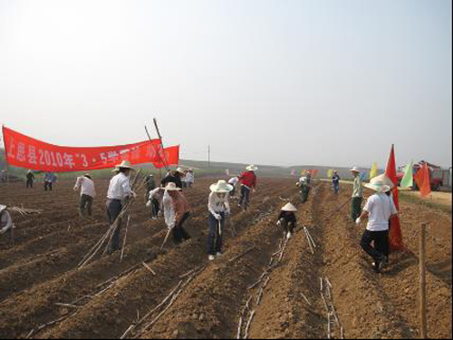 广西防城港学雷锋主题活动好戏连台各领风骚(