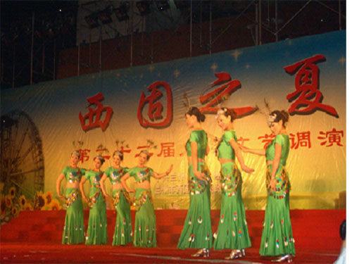 在西固公园广场圆满落下帷幕