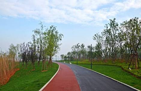 [安徽]铜陵开展滨江大道三线三边两小环境整