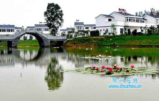 [安徽]生态宜居村庄美 文明和谐乡风美 滁州市新