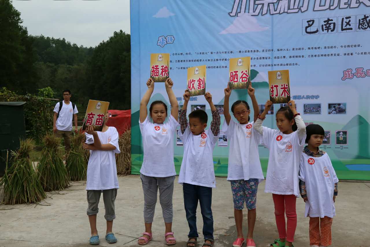 [重庆]重庆志愿者下田收割上网传播 分享感悟