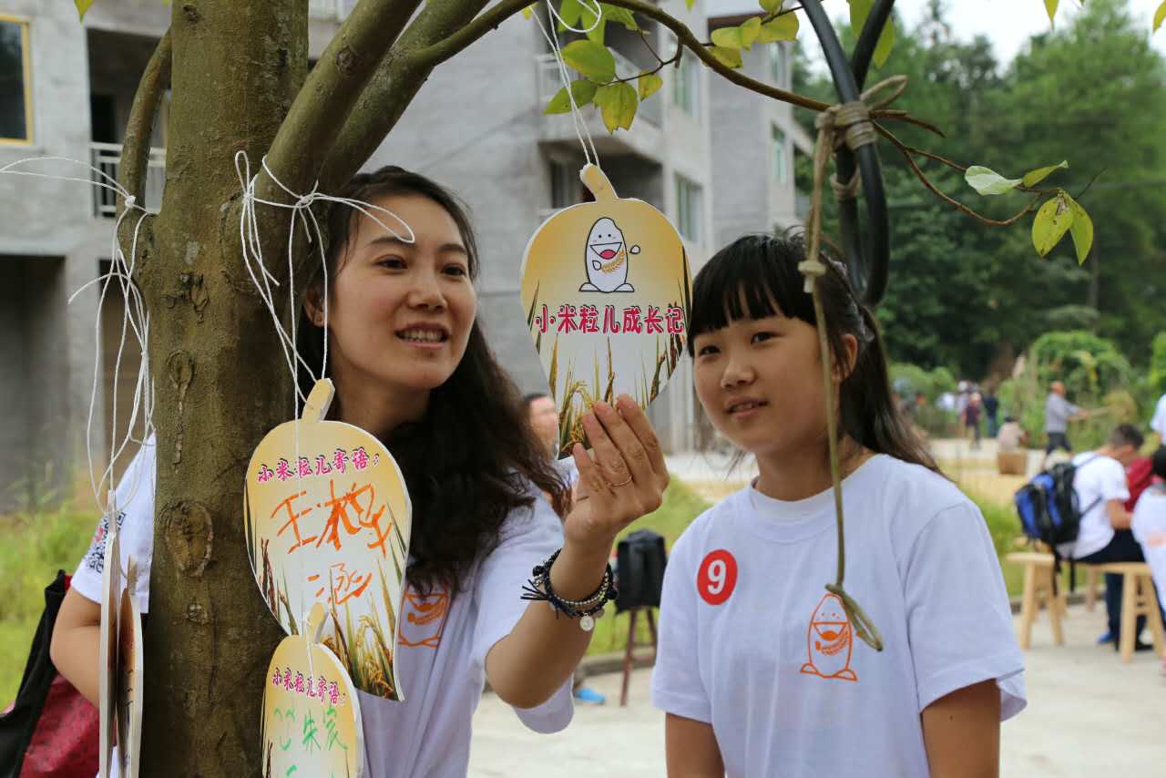 [重庆]重庆志愿者下田收割上网传播 分享感悟