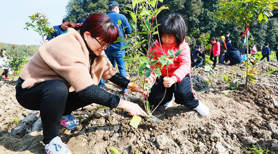 [浙江]从3·12到365天 绍兴打开思路全民植