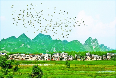 [广西]横县坚定推广垃圾分类十八年