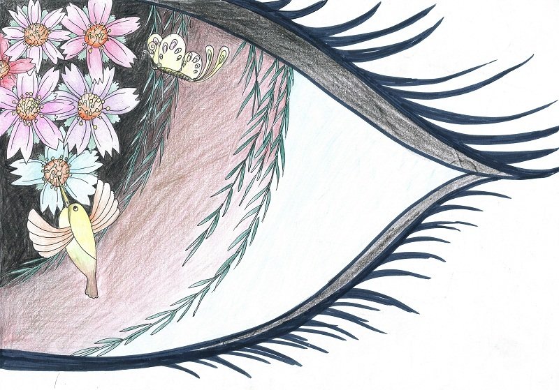 计划绘画比赛获奖名单正式对外公布