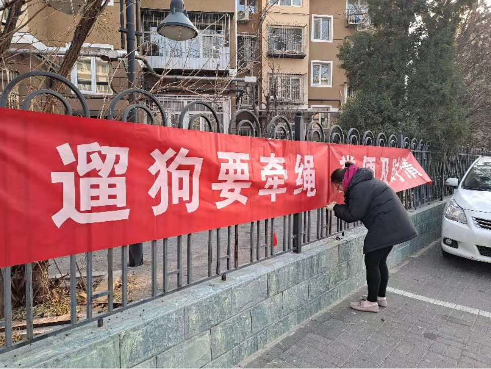 世界禁养猫的种类_世界十大禁养名猫图片欣赏_世界十大禁养名猫