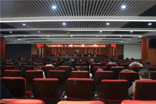 平谷区马坊镇组织开展区委全会,区"两会"精神宣讲暨人大代表接待选民