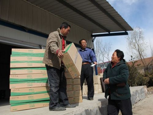 延庆县张山营镇"葡萄村"4月末将用上绿色燃气(图)